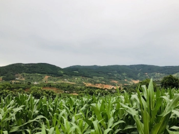 Chỉ 990 triệu sở hữu đất Thành phố Đà Lạt, sẵn 100m2 thổ cư