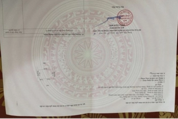 Cần tiền gấp bán 3 lô đất chung một thửa DT 597m2 tại thôn Lam Sơn, Thiện Phiến, Tiên Lữ,