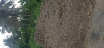 Bán đất 150m2 có 60m2 thổ cư, ấp Cái Giá hưng hội vĩnh lợi Bạc Liêu