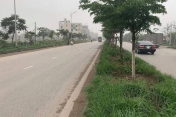 Cần bán lô đất mặt đường Ql 38 rộng 40m thuộc dự án đấu giá Hạp Lĩnh, thành phố BN.