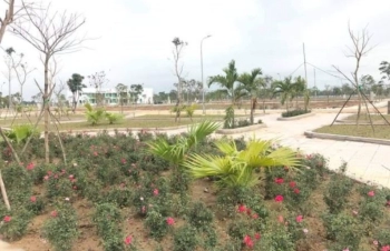 Bán đất xã Cương Gián, Nghi Xuân, Hà Tĩnh, 8,6x20m, nằm trong khuôn công viên cây xanh