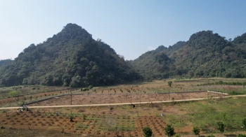 bán lô đất mặt đường nhựa 3680m2 tại kim bôi, hòa bình