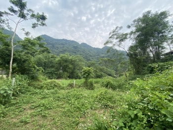 BÁN GẤP SIÊU PHẨM BÁM SUỐI CÓ DT 1800m2 CÁCH ĐƯỜNG QL12B 30m