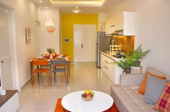 Bán chung cư 9 View giá rẻ 3 PN, 2 vệ sinh, giao nhà hoàn thiện