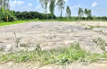 BÁN ĐẤT NỀN CÓ THỔ XÃ TÂN NGHĨA HUYỆN CAO LÃNH