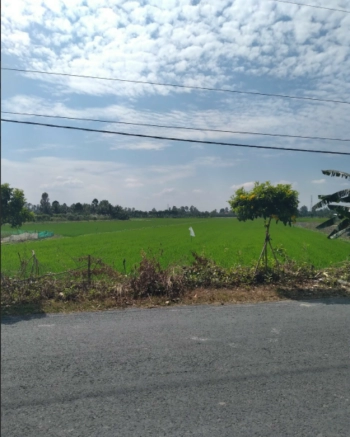 Cần bán đất tại phường Nam Linh Từ, xã Long Hưng A, Lấp Vò, Đồng Tháp 