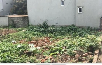 ĐẤT 2 MẶT NGÕ ÔTÔ 300M2 MT 16 TẠI SONG LIỄU, THUẬN THÀNH, CHỦ BÁN GẤP!