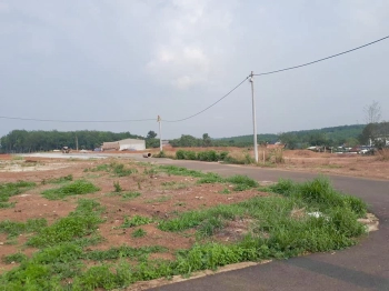 BÁN GẤP 4530m2 MT nhựa 12m KẾ BÊN CHỢ, TTHC, KDC ĐÔNG, VIEW HỒ MÁT MẺ SHR - 500TR