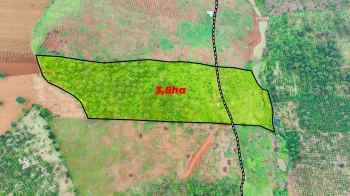 3,8ha giá chỉ 4 tỷ kín gió 100%, thế đất triền thoải, điện nước đầy đủ