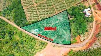 Đất phân lô mặt tiền đường nhựa giá rẻ tại phường Nam Gia Nghĩa