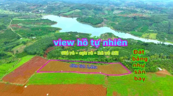 1ha rẻ vô địch bằng như sân bóng view hồ tự nhiên tại huyện Tuy Đức Đắk Nông