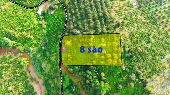 Đất rẫy 8 sào giá chỉ 900tr tại Gia Nghĩa