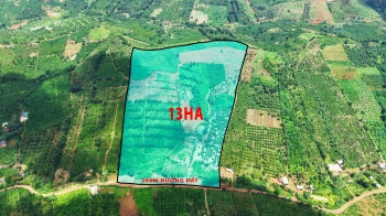 13ha đất Rẫy Cà Phê Và Sầu Riêng Giá Rẻ Tại Xã Trường Xuân Tỉnh Lâm Đồng