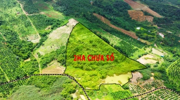 Đất không sổ giá rẻ 2ha giá chỉ 520tr tại Đắk Nông