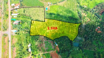 BDS gần KCN Đắk Nông diện tích lớn giá rẻ cách trung tâm 7,5km