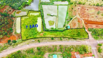 Vườn nghỉ dưỡng giá rẻ diện tích lớn tại trung tâm Gia Nghĩa