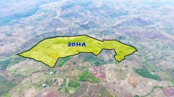 20ha giá chỉ 500tr/ha đất bằng như sân bóng, điện nước đầy đủ, oto vào tận nơi