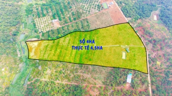 Rẫy kín gió nguồn thu mạnh 200m bê tông gần QL14 đi về HCM