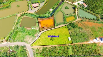 5 sào đường nhựa giá rẻ cực hiếm tại phường Bắc Gia Nghĩa