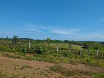 Bán đất thổ cư view suối ngay nhà Yến tại Tân Tiến Bù Đốp Bình Phước