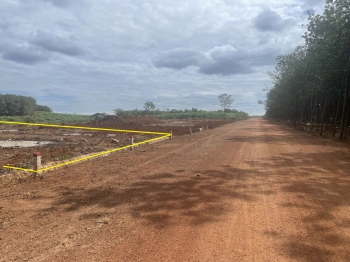 Đất mặt tiền đường rộng 20 mét chuẩn bị đổ nhựa đi thẳng vào khu công nghiệp 195 triệu bao công chứng.