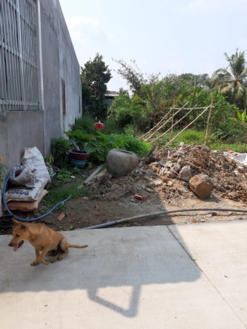 ???? Anh chủ đi nước ngoài cần bán lại nền thổ cư Thủ Thừa????