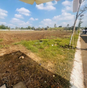 kẹt tiền bán lỗ 300tr đất mặt tiền chợ Đồng Nai