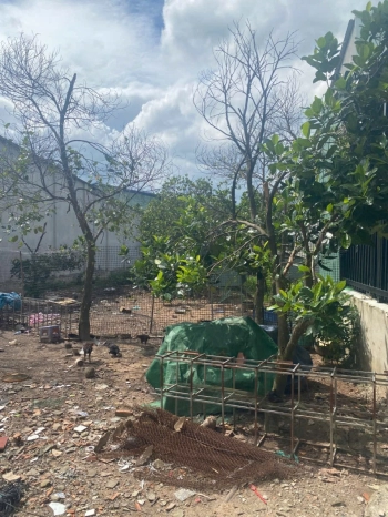 LÔ ĐẤT GIÁ RẼ - ĐẦU TƯ TẠI TÂN UYÊN - BÌNH DƯƠNG 310M2 CHỈ NHỈNH 2 TỶ