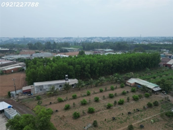 Bán 1000 m²  xã Bình Minh gần ngay QL1A đường nhựa lớn dân cư đông đúc giá chỉ  hơn 2 tỷ