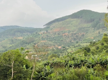 SỐ LƯỢNG CÓ HẠN - TẶNG 200m2 THỔ CƯ CHO KHÁCH MUA ĐẤT ĐẮK NÔNG TRONG THÁNG 8/2022