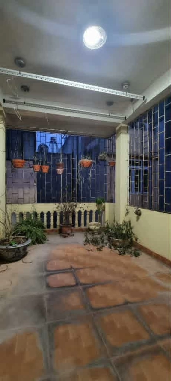 🆘SIÊU HIẾM LĨNH NAM HOÀNG MAI 🧨Chính chủ gửi bán