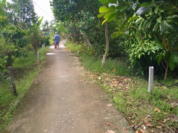 Cần Bán đất tại Thị Trấn Phong Điền ,Phong Điền ,Cần Thơ