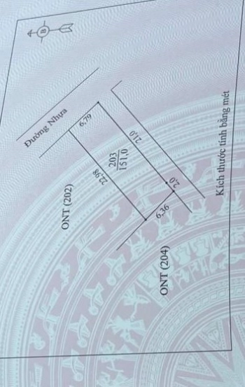 RA HÀNG LÔ ĐẤT ĐẦU TƯ DÀI HẠN SIÊU ĐẸP