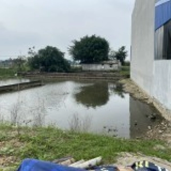 Bán 2 lô đất đấu giá Gia Thịnh vị trí đẹp mặt đường đôi Gia Thịnh, Gia Viễn. 