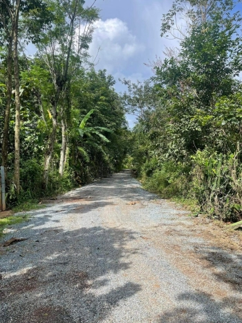 ĐẤT THỔ CƯ BÌNH LONG BÌNH PHƯỚC CHỈ VỚI 400TR ,SHR