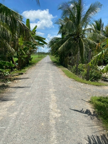 đất Mặt tiền đường nhựa nhánh QL54