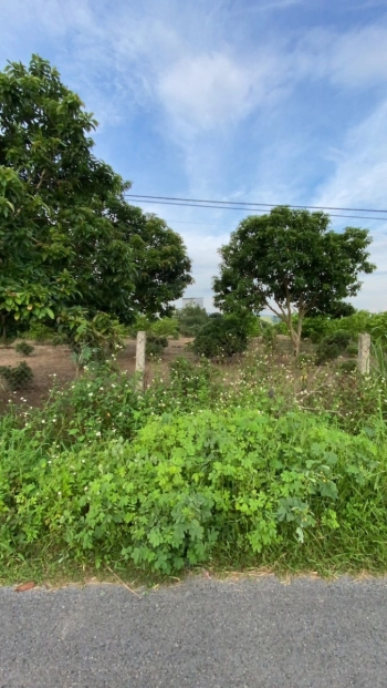 Gia đình đi nước ngoài định cư nên cần bán nhanh nhà vườn và nhà Yến tại Ea Kar, tỉnh Đăk Lăk