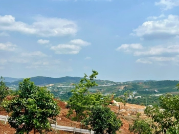 Chỉ 1,29 tỷ cho 711m2 xã Nam Ban, thương lượng nhanh