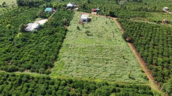 Bán lô đất đầu tư hẻm nguyễn kiệm nối dài