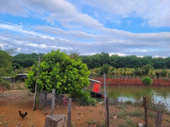 Chính chủ bán đất 1.800m2, phong thủy đẹp, Bù Đốp chỉ 3.5 tỷ