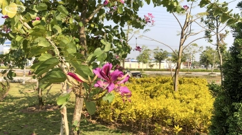 Đất mặt chợ huyện Vĩnh trụ, kinh doanh giá 26tr/m