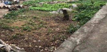 Cần sang nhượng lại lô đất đẹp