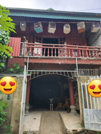 Bán đất tổ1 Noong Bua, tp Điện Biên Phủ