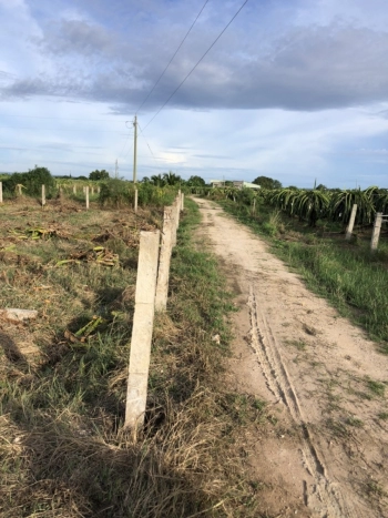 Đất sào giá rẻ tại bình thuận 