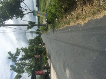 Bán đất Nguyễn Việt Hồng, xã Thạnh Xuân, huyện Châu Thành A, tỉnh Hậu Giang.