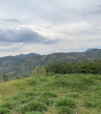 View hồ ngọc xanh mướt giá bán cực tốt 215tr/1000m2