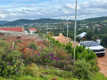 Cần bán nhanh lô đất gần hồ Bãi công xã Nam Ban chỉ 520 triệu, sổ hồng riêng