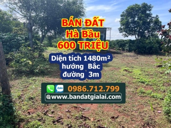 Đất làng Ring Rai - KẸT TIỀN CHỦ CẦN BÁN