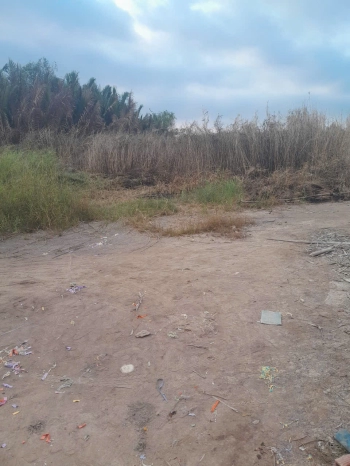 Chính chủ bán lô đất 1599m xã Bình Khánh, Cần Giờ