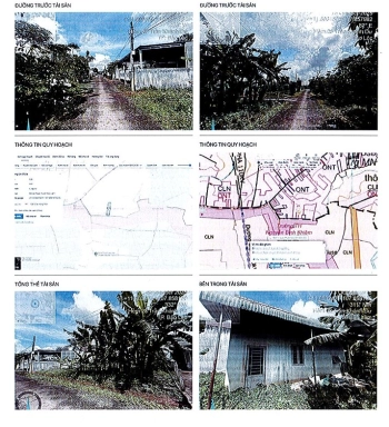 BÁN ĐẤU GIÁ BẤT ĐỘNG SẢN TẠI TỈNH LÂM ĐỒNG'